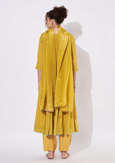 Mustard Tissue Anarkali Suit