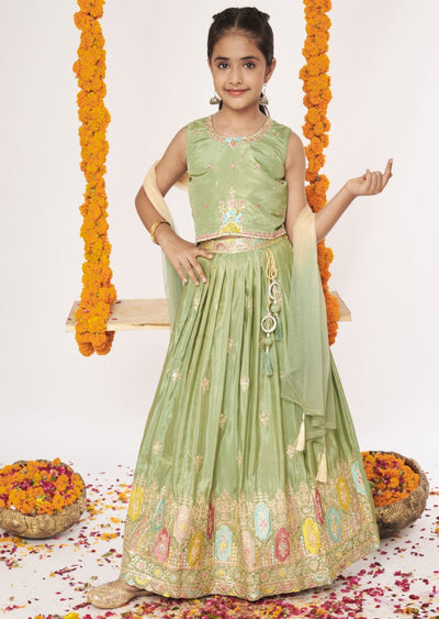 Mehendi Green Tissue Lehenga