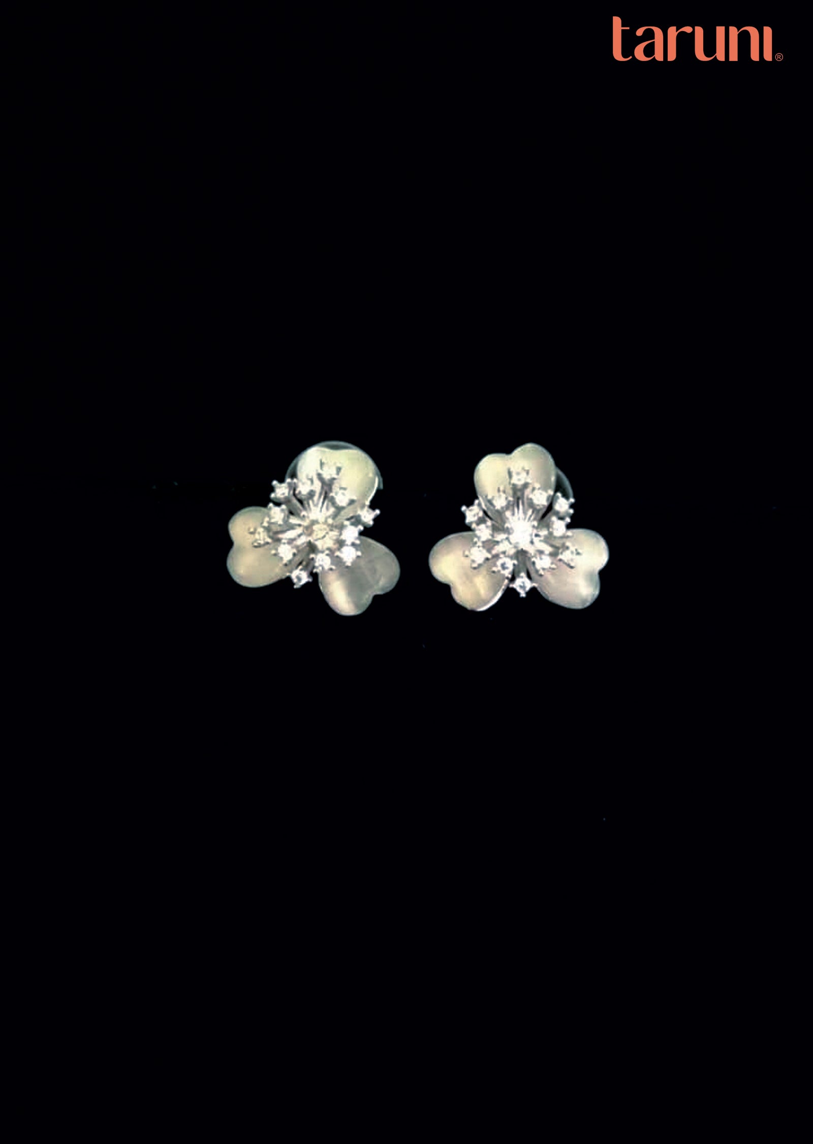 Silver Brass Earring