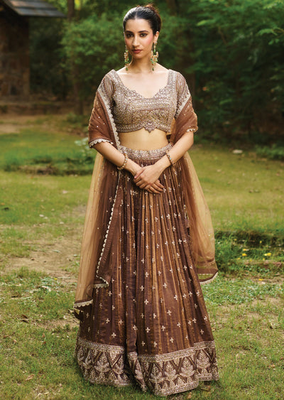 Brown Tissue Chiffon Lehenga Set
