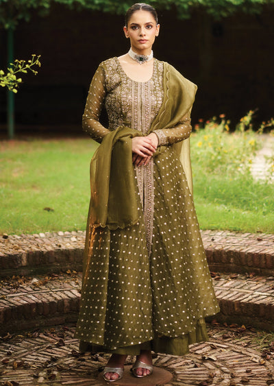 Mehendi Green Tissue Anarkali Suit