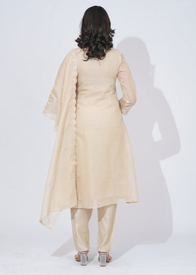 Beige Organza Anarkali Suit