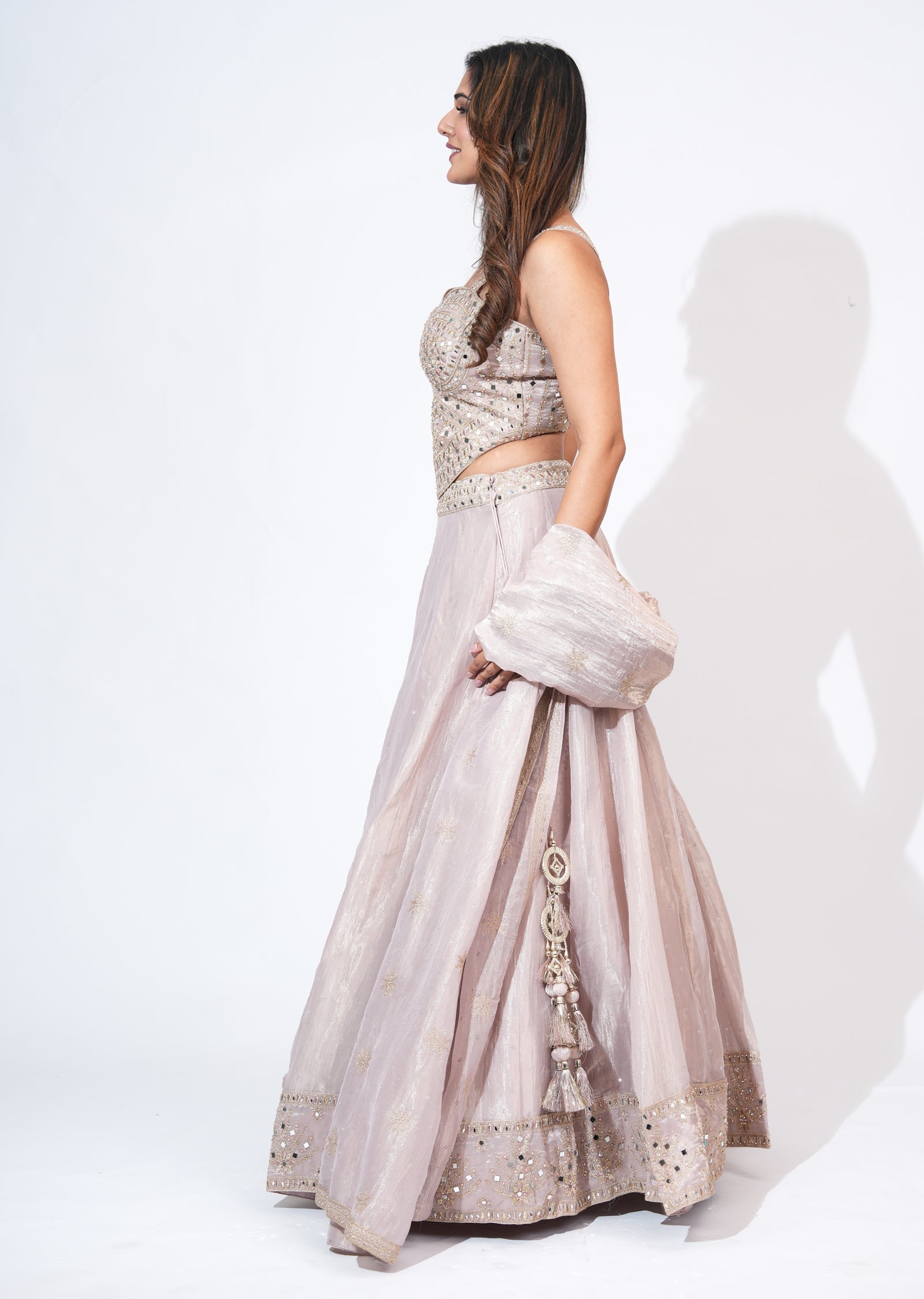 Pink Tissue Lehenga Set