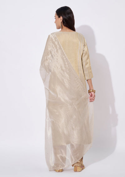 Beige Tissue Straight Cut Suit