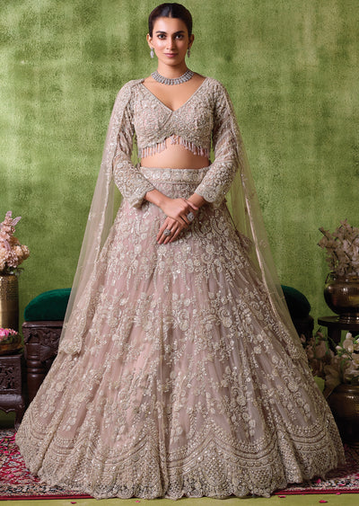 Beige Net Lehenga Set