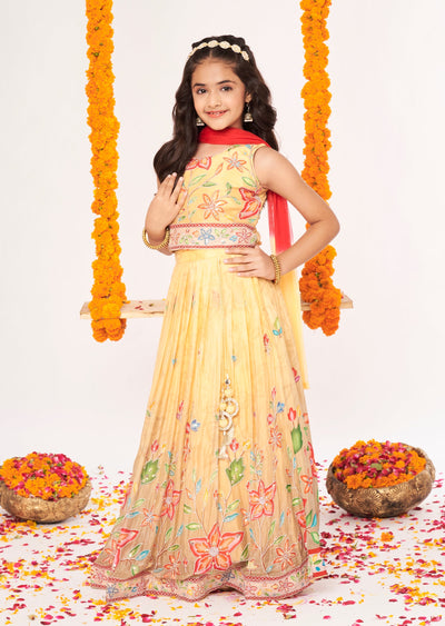 Biege Chinnon Lehenga